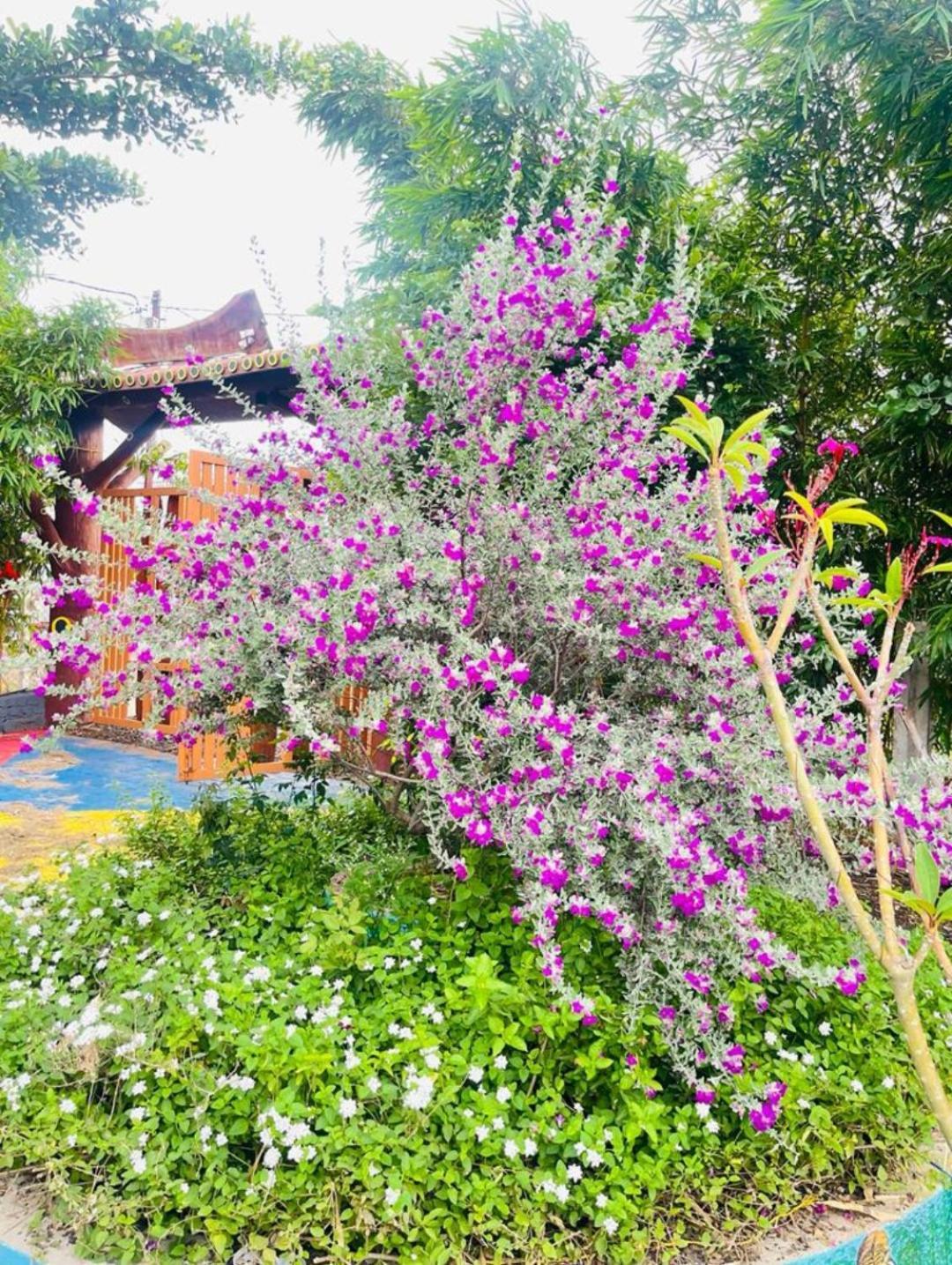 Leopard Farmhouse Mhow ภายนอก รูปภาพ